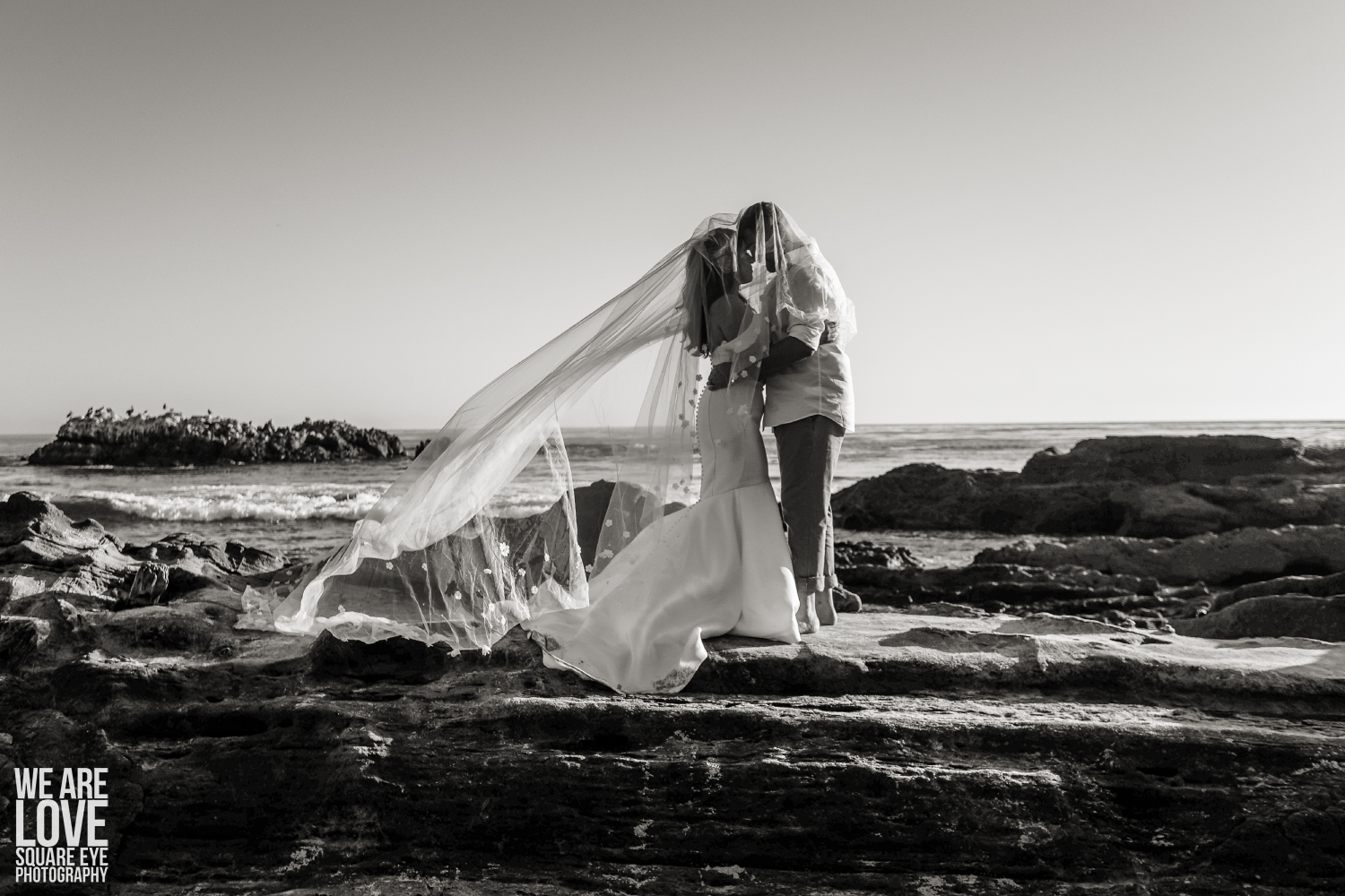 laguna beach trash the dress 459