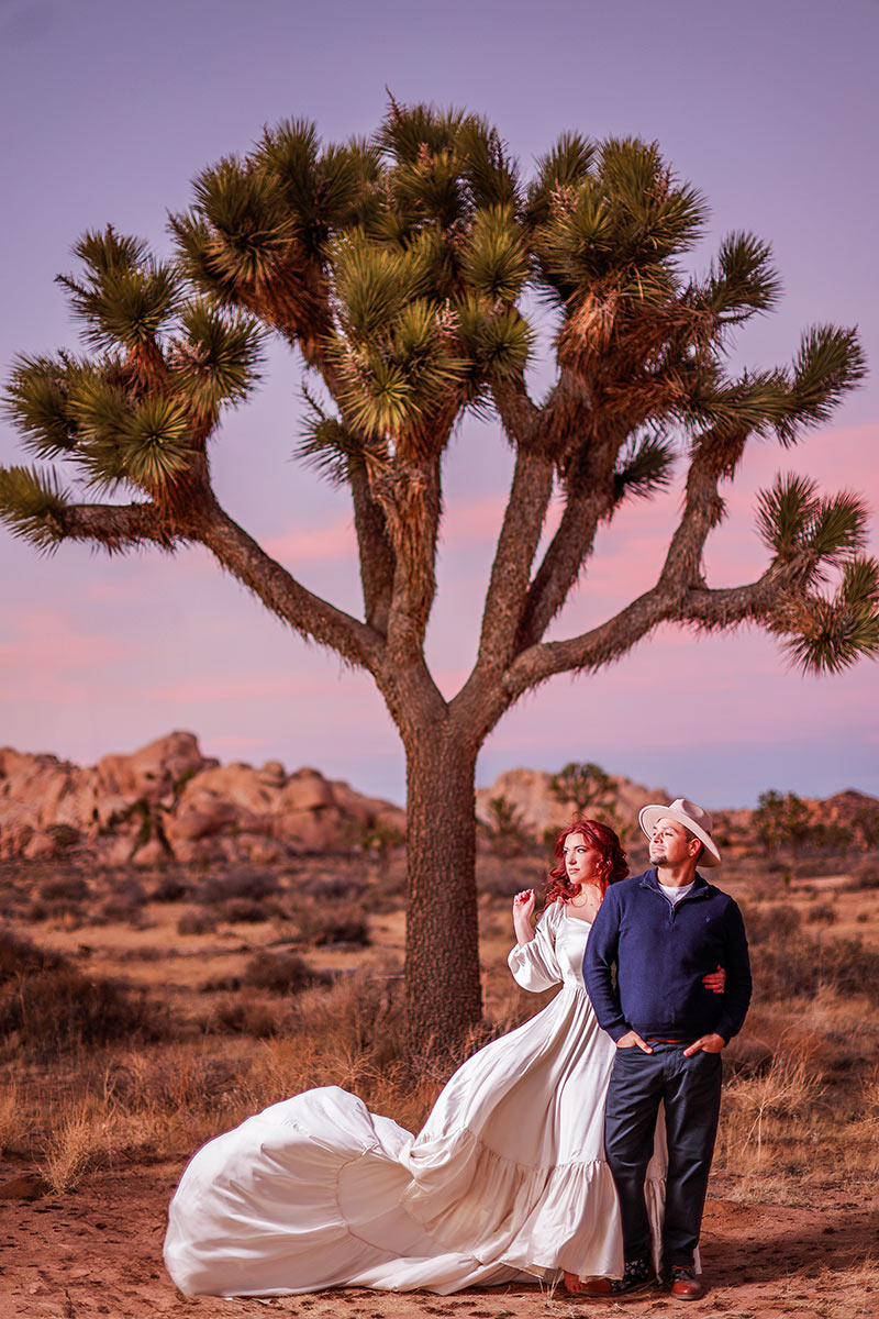 joshua-tree-engagement-51