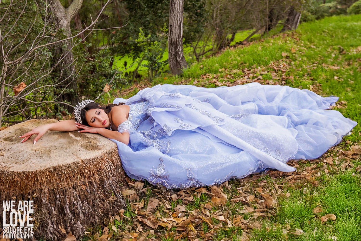 descanso gardens photography what you should know