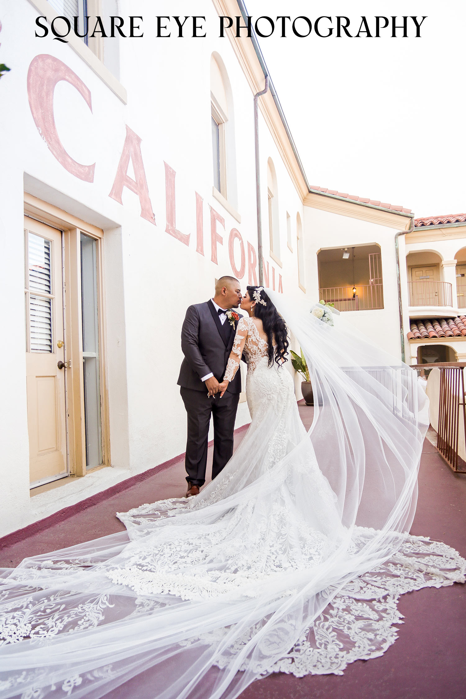 Cathedral-veil-showing-the-dress-from-behind Cathedral-veil-showing-the-dress-from-behind