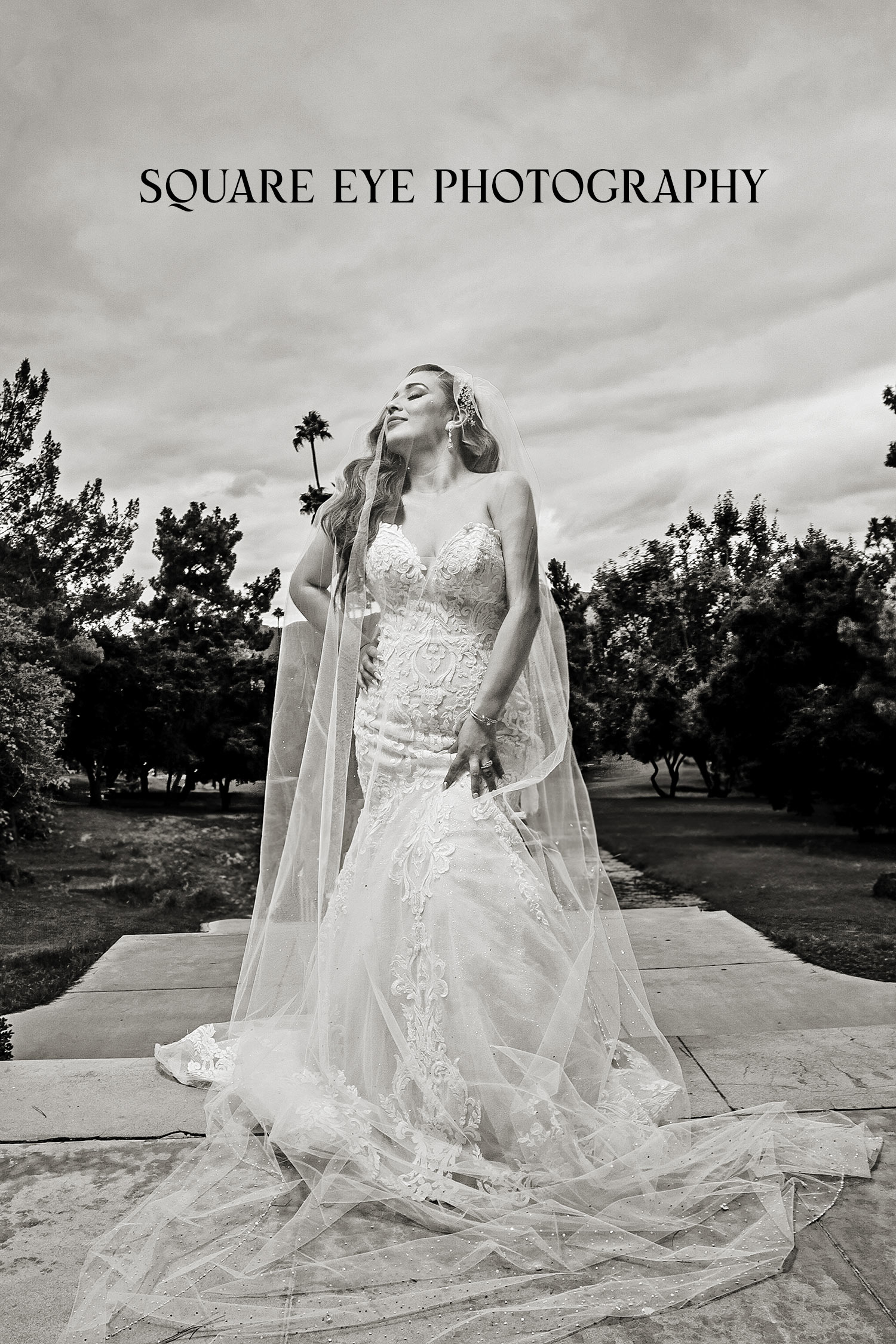 DRAMATIC-VIEL-PHOTOGRAPH-POSE-LIGHT-UP-HIGH-WEDDING-BLACK-AND-WHITE DRAMATIC-VIEL-PHOTOGRAPH-POSE-LIGHT-UP-HIGH-WEDDING-BLACK-AND-WHITE